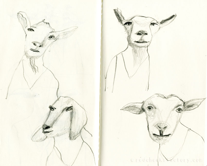 Goats pencil drawings from my sketchbook 1