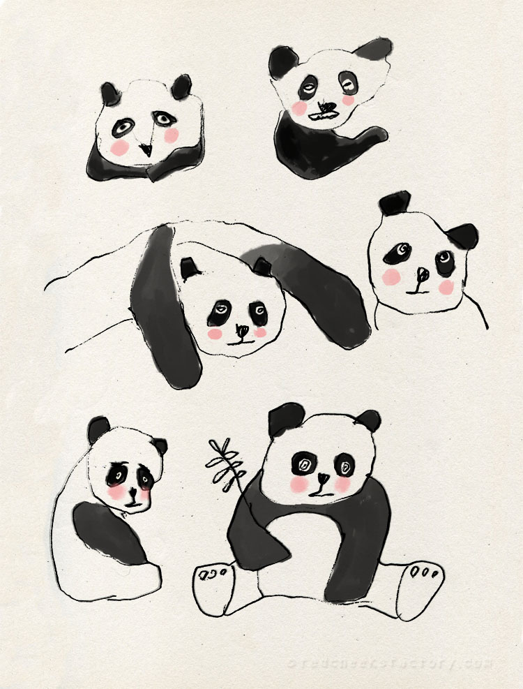 Panda Bears studies