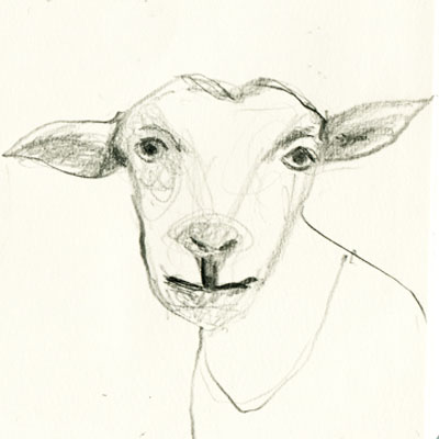 Pencil drawing from my sketchbook of a animals and emotion - goats